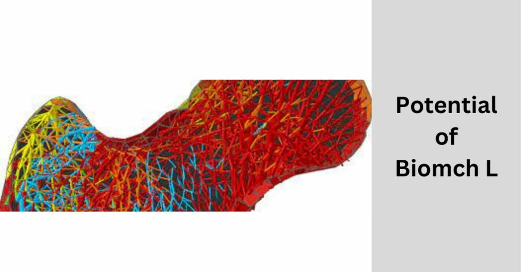 Potential of Biomch L